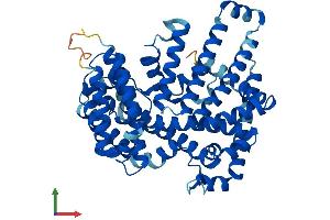 AlphaFold protein structure predicition of Mouse Recombinant Hhat Protein, UniprotID Q8BMT9