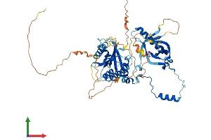 AlphaFold protein structure predicition of Human Recombinant M1AP Protein, UniprotID Q8TC57 (Meiosis 1 Associated Protein (M1AP) (AA 1-530) protein (His tag))
