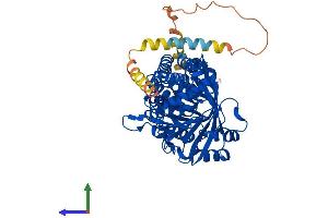 AlphaFold protein structure predicition of Human Recombinant SQLE Protein, UniprotID Q14534