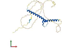AlphaFold protein structure predicition of Mouse Recombinant Neurog2 Protein, UniprotID P70447