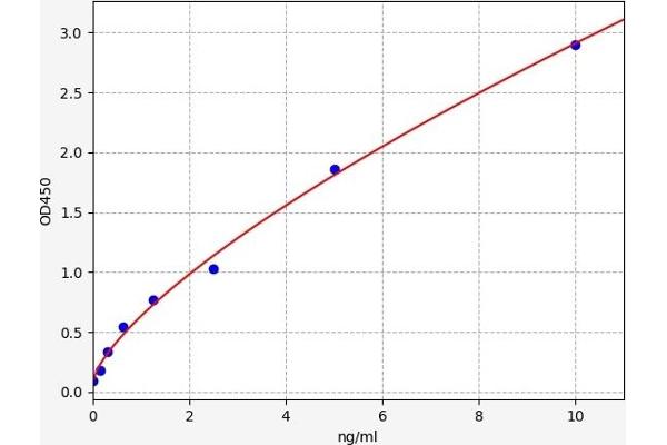 beta 2 Adrenergic Receptor ELISA 试剂盒