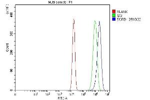 anti-Sorbitol Dehydrogenase (SORD) (AA 8-357) antibody