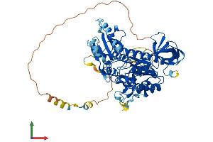 Protein Structure (PS) image for CDK5 Regulatory Subunit Associated Protein 1 (CDK5RAP1) (AA 1-601) protein (His tag) (ABIN7553382)