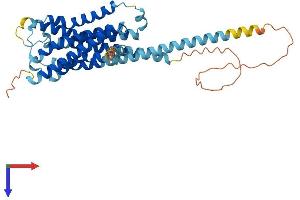 Protein Structure (PS) image for Histamine Receptor H4 (HRH4) (AA 1-391) protein (His tag) (ABIN7560166)