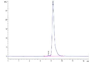 The purity of Cynomolgus CD27 is greater than 95 % as determined by SEC-HPLC.