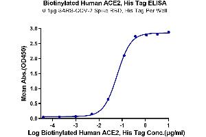 ELISA image for Angiotensin I Converting Enzyme 2 (ACE2) (AA 18-740) protein (His-Avi Tag,Biotin) (ABIN7273794)