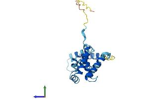 Protein Structure (PS) image for Transcription Elongation Factor A (SII) N-Terminal and Central Domain Containing 2 (TCEANC2) (AA 1-207) protein (His tag) (ABIN7559695)