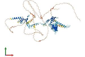 Protein Structure (PS) image for DiGeorge Syndrome Critical Region Gene 8 (DGCR8) (AA 1-773) protein (His tag) (ABIN7553717)