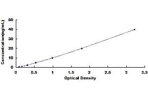 Typical standard curve (TOP2 ELISA 试剂盒)