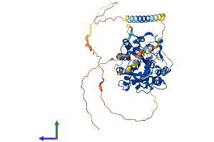 Protein Structure (PS) image for Carbohydrate (N-Acetylglucosamine-6-O) Sulfotransferase 2 (CHST2) (AA 1-530) protein (His tag) (ABIN7553373)