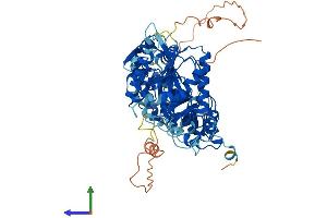 AlphaFold protein structure predicition of Human Recombinant UBASH3A Protein, UniprotID P57075