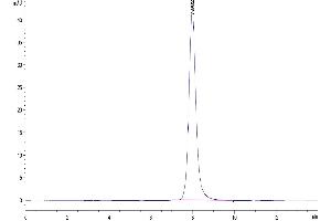 Size-exclusion chromatography-High Pressure Liquid Chromatography (SEC-HPLC) image for CD79b Molecule, Immunoglobulin-Associated beta (CD79B) (AA 29-159) protein (Fc Tag) (ABIN7274229)