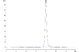 The purity of Human CD79B is greater than 95 % as determined by SEC-HPLC. (CD79b Protein (AA 29-159) (Fc Tag))
