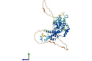 Protein Structure (PS) image for Katanin P60 (ATPase Containing) Subunit A 1 (KATNA1) (AA 1-491) protein (His tag) (ABIN7554403)