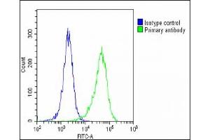 Overlay histogram showing Hela cells stained with (ABIN390106 and ABIN2840618)(green line). (MAGEA2 抗体  (N-Term))