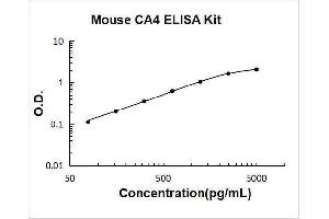 Typical Standard Curve