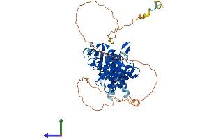 Protein Structure (PS) image for Protein tyrosine Phosphatase, Non-Receptor Type 18 (Brain-Derived) (PTPN18) (AA 1-453) protein (His tag) (ABIN7557672)