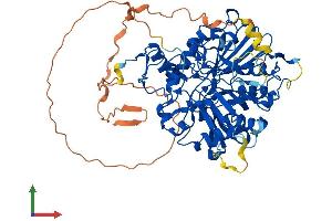 Protein Structure (PS) image for Tyrosyl-DNA Phosphodiesterase 1 (TDP1) (AA 1-609) protein (His tag) (ABIN7564369)