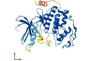 Protein Structure (PS) image for Cyclin-Dependent Kinase 3 (CDK3) (AA 1-305) protein (His tag) (ABIN7553402)