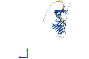 Protein Structure (PS) image for B-Box and SPRY Domain Containing (BSPRY) (AA 1-473) protein (His tag) (ABIN7558449)
