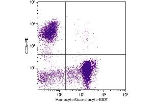 Porcine peripheral blood lymphocytes, monocytes, and granulocytes were stained with Mouse Anti-Porcine Monocyte/Granulocyte-BIOT. (Monocyte/Granulocyte 抗体  (Biotin))