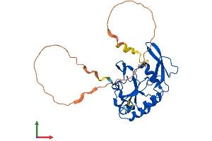 Protein Structure (PS) image for CTD Small Phosphatase-Like Protein (CTDSPL) (AA 1-276) protein (His tag) (ABIN7556519)