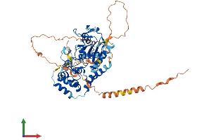 Protein Structure (PS) image for Archaelysin Family Metallopeptidase 1 (AMZ1) (AA 1-498) protein (His tag) (ABIN7552275)