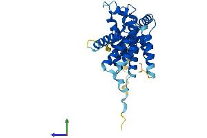Protein Structure (PS) image for Cyclin G1 (CCNG1) (AA 1-295) protein (His tag) (ABIN7553210)