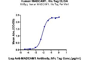 ELISA image for Mucosal Vascular Addressin Cell Adhesion Molecule 1 (MADCAM1) (AA 19-317) protein (His tag) (ABIN7275237)