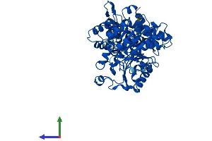 Protein Structure (PS) image for Malic Enzyme 1, NADP(+)-Dependent, Cytosolic (ME1) (AA 1-572) protein (His tag) (ABIN7562749)
