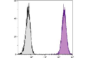 DBA/2 mouse mastocytoma cell line P815 and mB7. (CD86 抗体  (Biotin))