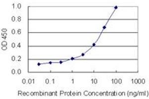 Detection limit for recombinant GST tagged NUCB2 is 0. (NUCB2 抗体  (AA 322-420))
