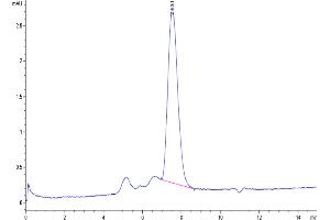 The purity of Biotinylated Human MICB is greater than 95 % as determined by SEC-HPLC. (MICB Protein (His-Avi Tag,Biotin))