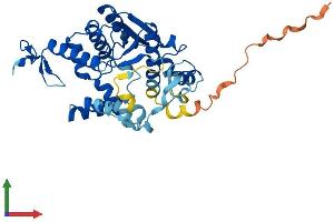 Protein Structure (PS) image for Cytosolic Thiouridylase Subunit 1 Homolog (CTU1) (AA 1-348) protein (His tag) (ABIN7546849)