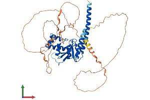 Protein Structure (PS) image for OTU Domain Containing 1 (OTUD1) (AA 1-454) protein (His tag) (ABIN7560646)