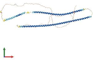 Protein Structure (PS) image for Keratin 71 (KRT71) (AA 1-524) protein (His tag) (ABIN7556186)