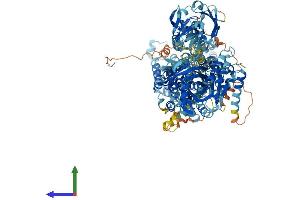 Protein Structure (PS) image for ATPase, Aminophospholipid Transporter, Class I, Type 8B, Member 2 (ATP8B2) (AA 1-1209) protein (His tag) (ABIN7552460)