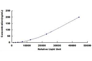 ELISA image for Creatine Kinase, Brain (CKB) CLIA Kit (ABIN1081346) (CKB CLIA Kit)