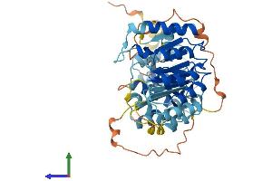 AlphaFold protein structure predicition of Human Recombinant PRAMEF17 Protein, UniprotID Q5VTA0