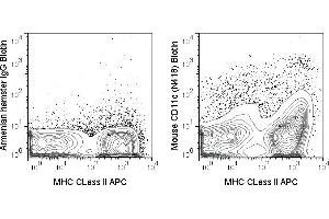 C57Bl/6 splenocytes were stained with APC MHC CLass II and 0. (CD11c 抗体  (Biotin))