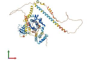 AlphaFold protein structure predicition of Human Recombinant NEK11 Protein, UniprotID Q8NG66