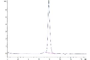 Size-exclusion chromatography-High Pressure Liquid Chromatography (SEC-HPLC) image for CD274 (PD-L1) (AA 19-238) protein (His tag) (ABIN7275425)