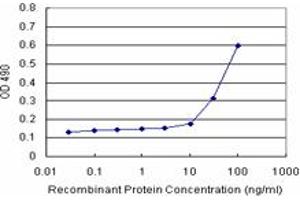 Sandwich ELISA detection sensitivity ranging from 10 ng/mL to 100 ng/mL. (NQO2 (人) Matched Antibody Pair)