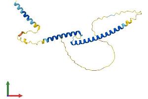 Protein Structure (PS) image for MAX Dimerization Protein 1 (MXD1) (AA 1-221) protein (His tag) (ABIN7549172)