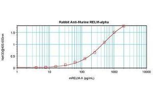Image no. 4 for anti-RELM alpha antibody (ABIN465191) (RELM alpha 抗体)