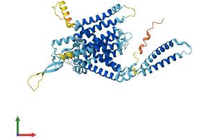 AlphaFold protein structure predicition of Mouse Recombinant Lmbrd1 Protein, UniprotID Q8K0B2