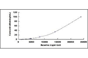 ELISA image for Serpin Peptidase Inhibitor, Clade G (C1 Inhibitor), Member 1 (SERPING1) CLIA Kit (ABIN1081329)