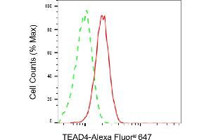 Flow cytometric analysis of TEAD4 expression in HepG2 cells using TEAD4 antibody (ABIN7800526), 1:2,000). (Recombinant TEAD4 抗体)