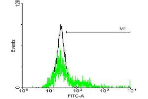FACS analysis of negative control 293 cells (Black) and S1PR3 expressing 293 cells (Green) using S1PR3 purified MaxPab mouse polyclonal antibody. (S1PR3 抗体  (AA 1-378))