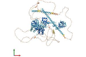 AlphaFold protein structure predicition of Human Recombinant EIF5B Protein, UniprotID O60841